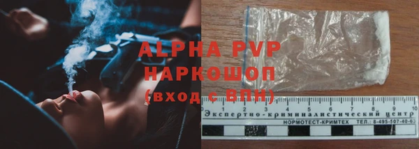 сатива Алзамай
