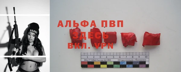 крисы Алексин