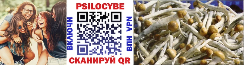 Галлюциногенные грибы Magic Shrooms  Аркадак 